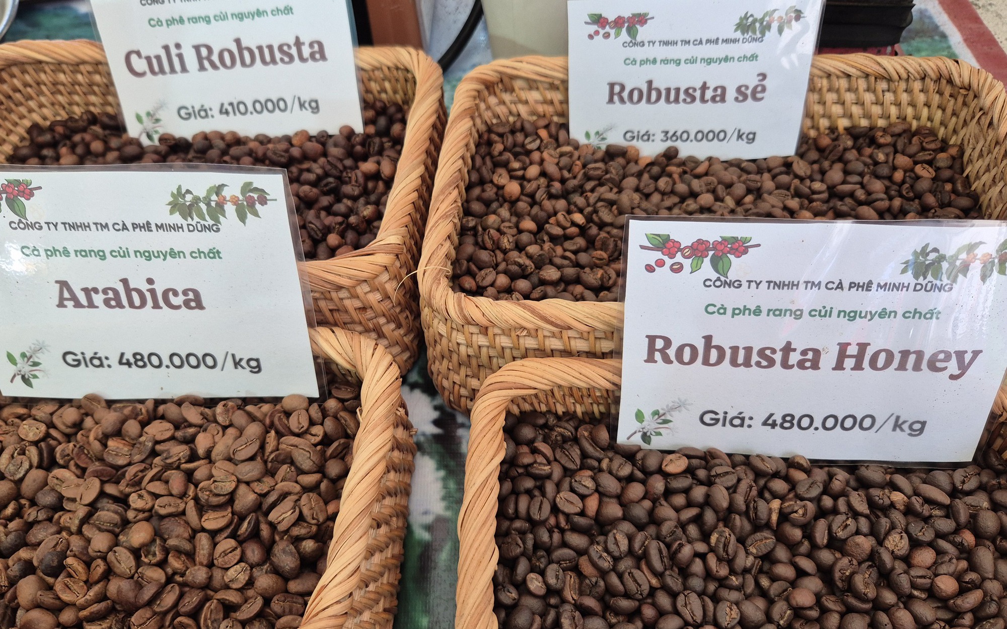 Giá cà phê hôm nay 19 - 3: Robusta tiếp tục tăng giá và xu hướng thị trường cà phê - Ảnh 2.