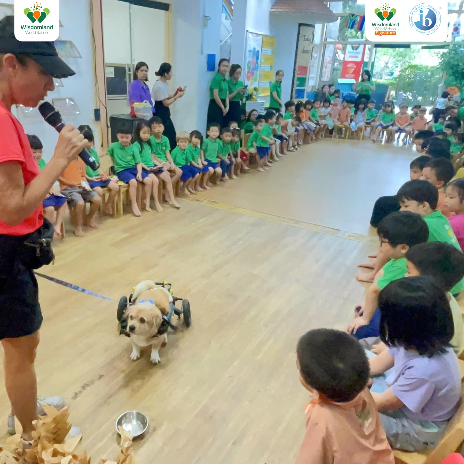 Wisdomland: trường mầm non đầu ti&ecirc;n tại Việt Nam l&agrave; th&agrave;nh vi&ecirc;n của cộng đồng Eco-Schools. - Ảnh 2.