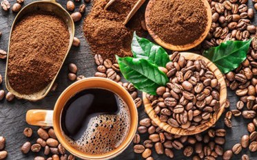 Khói sương trong tách, thi ca dưới phèn