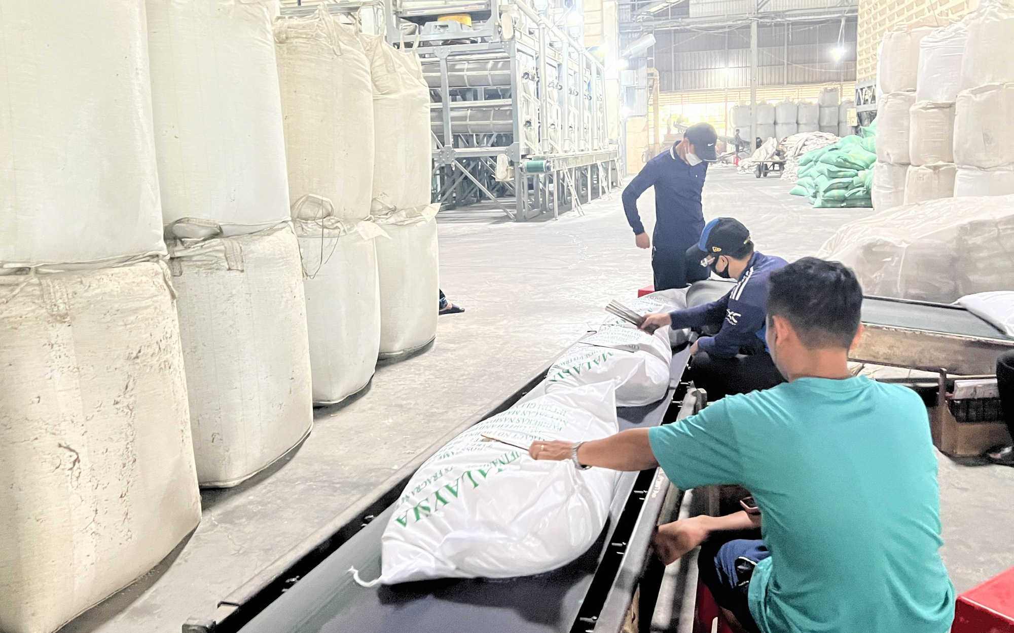 Ổn định thị trường lúa gạo