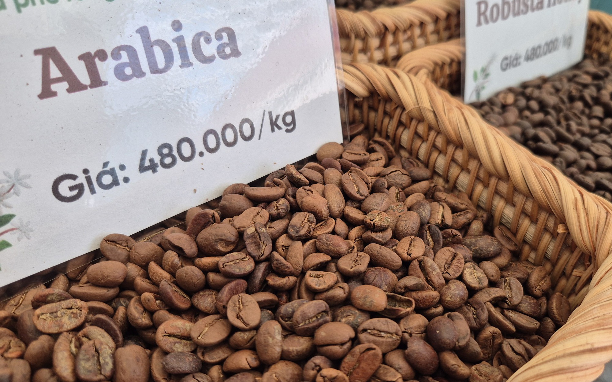 Giá cà phê hôm nay 25-3: Arabica tăng nóng, vượt 7.000 USD/tấn