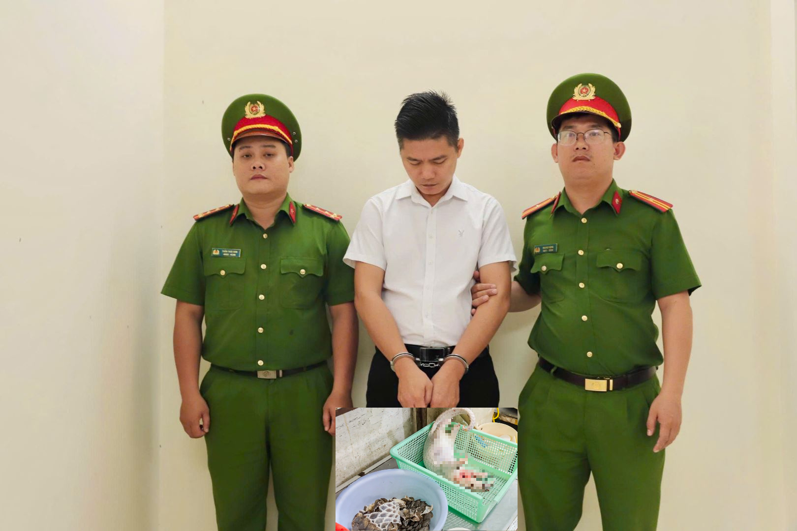 Lộ nhiều đường dây buôn bán động vật hoang dã - Ảnh 1.