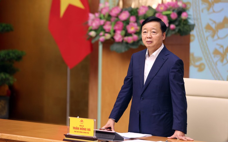Ph&oacute; Thủ tướng: Khắc phục ngay những khuyến nghị của EC về chống khai th&aacute;c IUU - Ảnh 1.