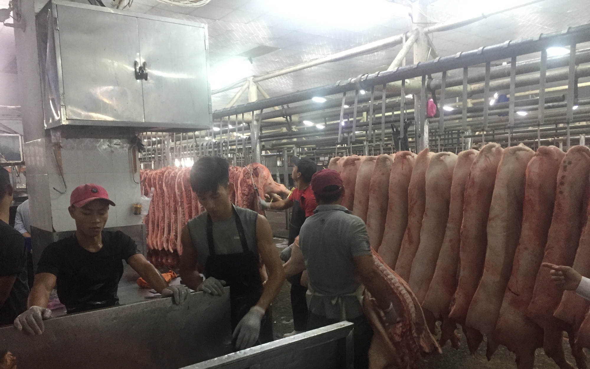 Giá heo hơi hôm nay, 30-3: Chợ đầu mối có giá mới