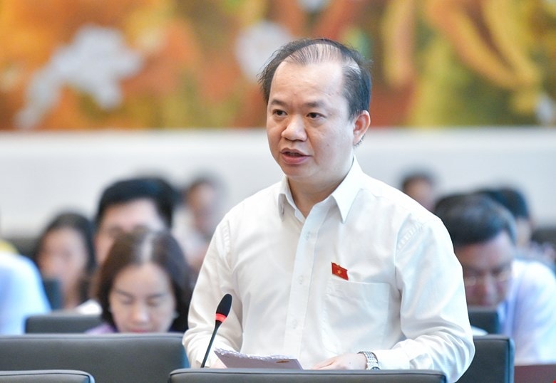 ĐBQH Bùi Hòai Sơn nhấn mạnh giữ kỷ cương để phát triển bền vững năm 2026 - Ảnh 1.