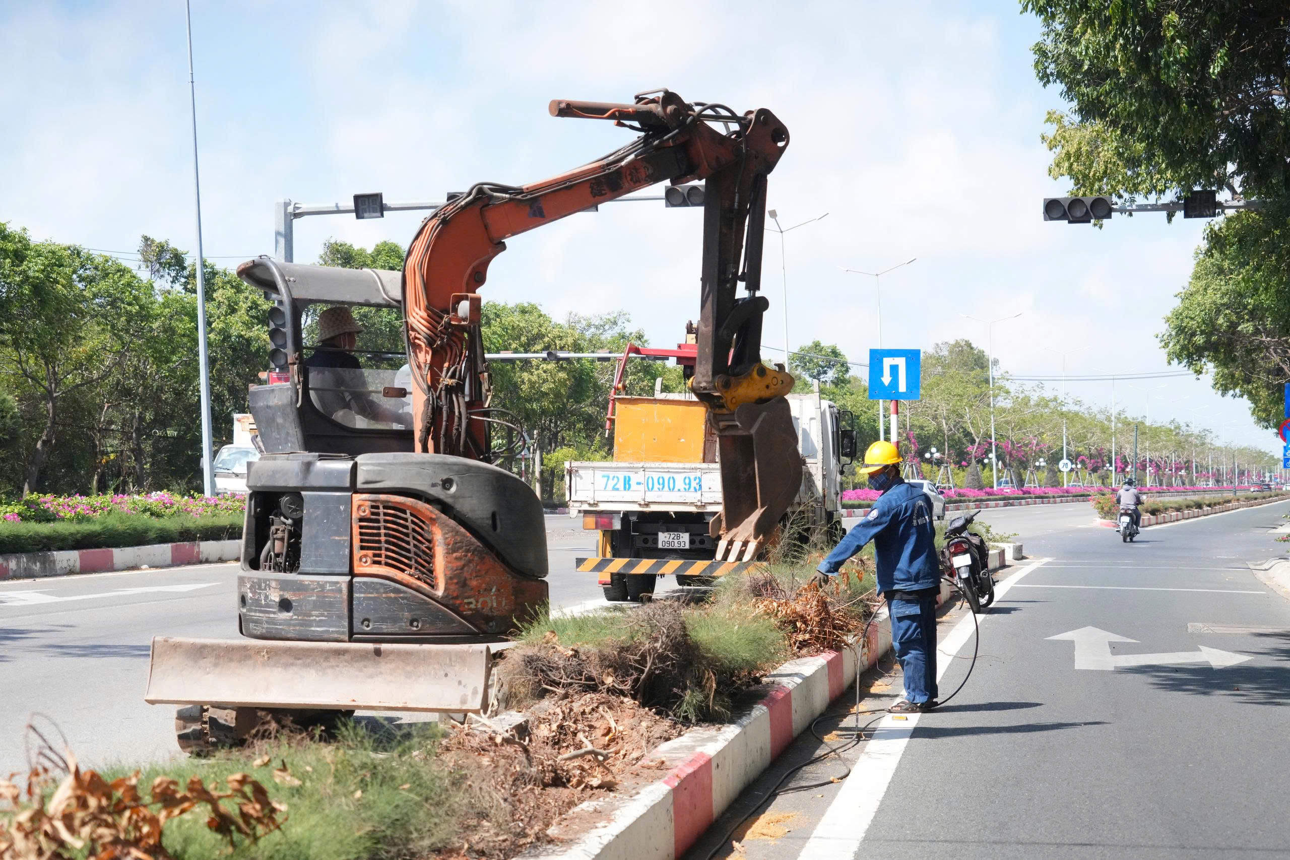 L&yacute; do nhổ h&agrave;ng c&acirc;y huỳnh li&ecirc;n tr&ecirc;n cung đường đẹp bậc nhất v&agrave;o Vũng T&agrave;u - Ảnh 3.