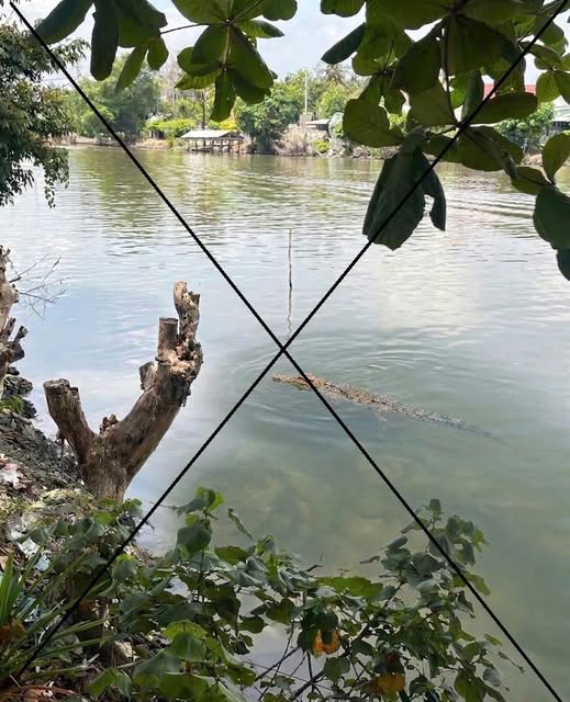 Tạo ảnh bằng AI để mẹ dọa em gái... gây dư luận xấu - Ảnh 1.
