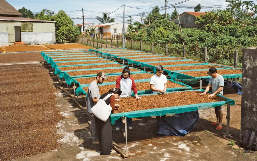 CÚ HÍCH NĂM DU LỊCH QUỐC GIA: Định hình bản sắc du lịch liên vùng
