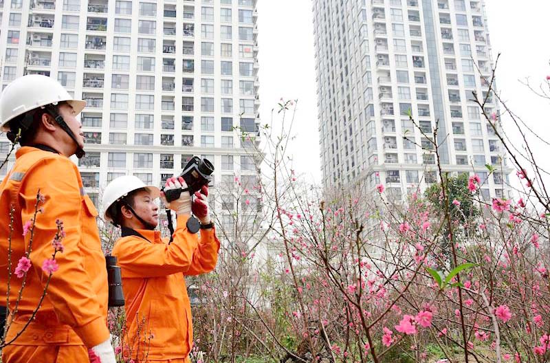 EVN dốc to&agrave;n lực bảo đảm điện m&ugrave;a kh&ocirc; 2026 - Ảnh 1.