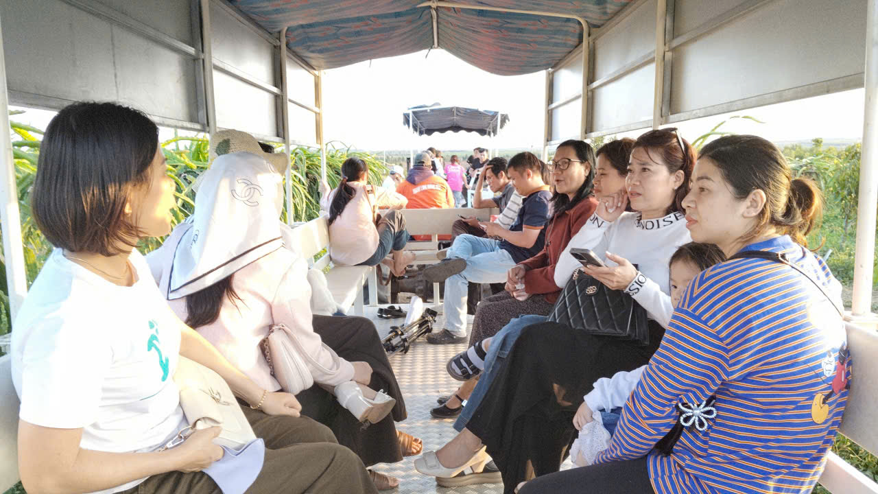 Kết nối du lịch “biển xanh – ngàn hoa – đại ngàn” bằng hành trình đường bộ - Ảnh 1.