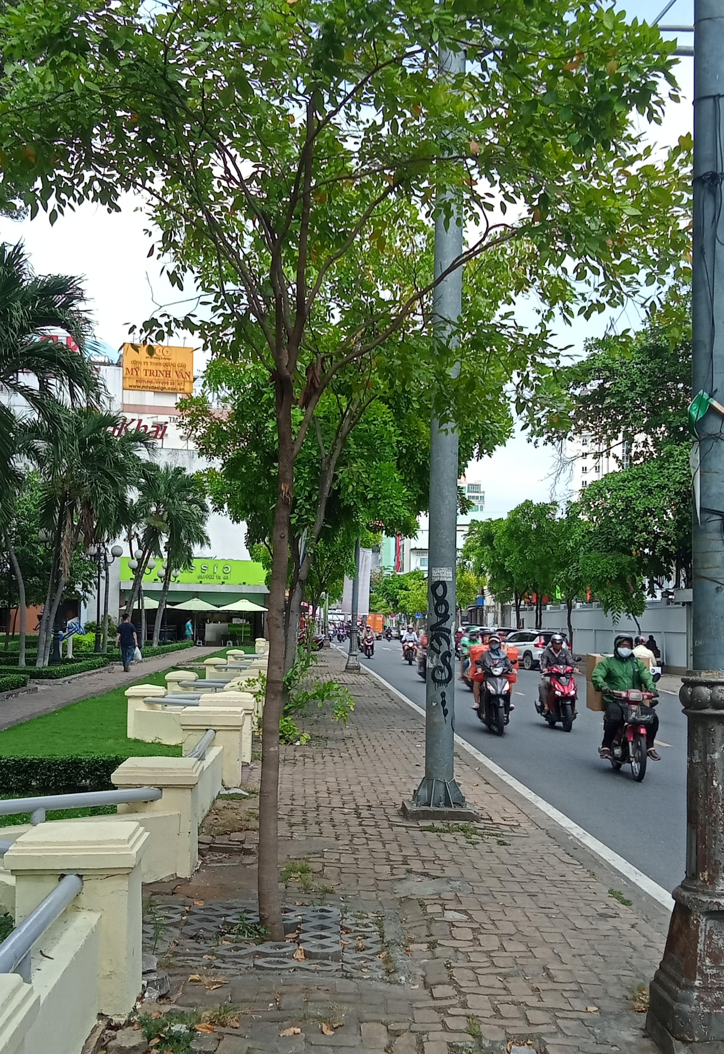 PHẢN HỒI: Thu hồi bảng hiệu - Ảnh 1.
