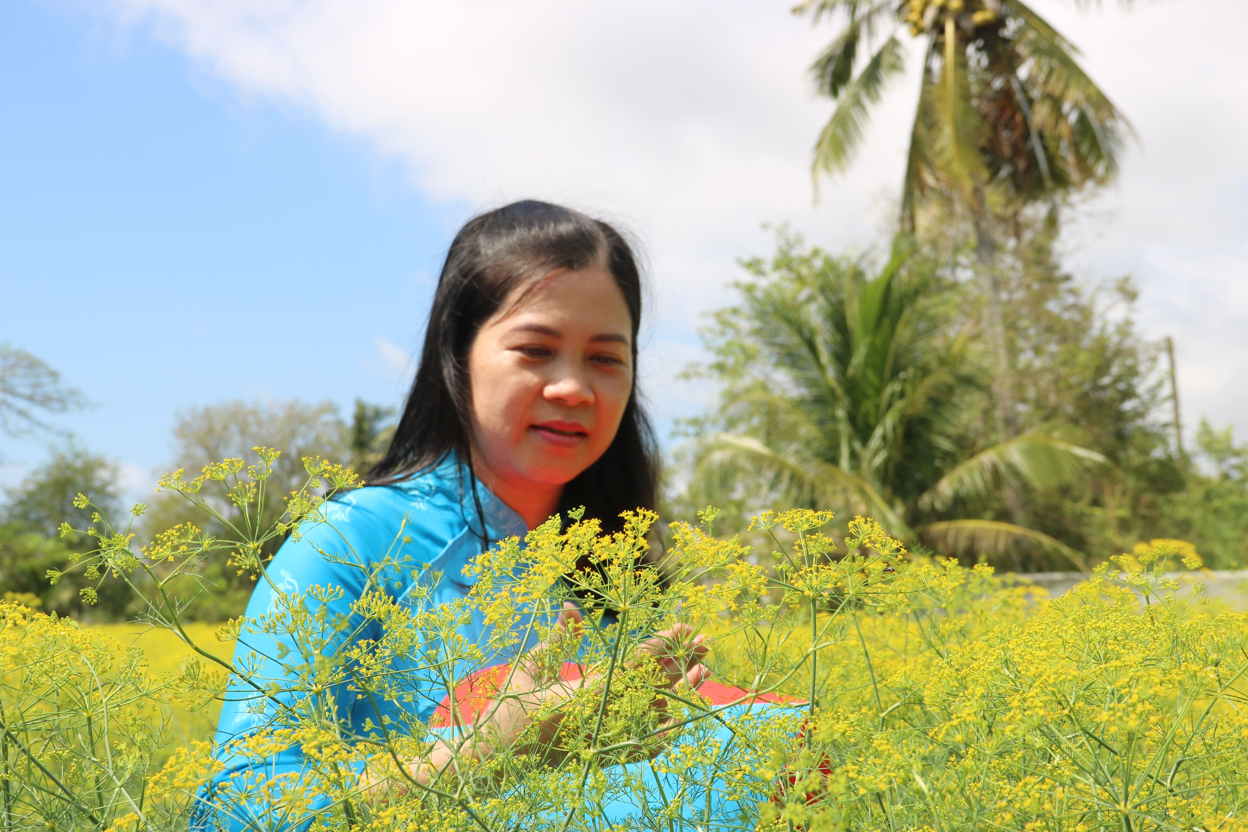 VIDEO: Du khách đổ xô ngắm những cánh đồng hoa “lạ” ở Cà Mau - Ảnh 7.