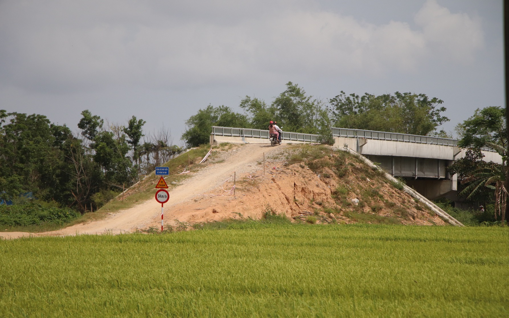 Cây cổ thụ bật gốc giữa đêm ở Đà Nẵng, nghi do đào đường - Ảnh 4.