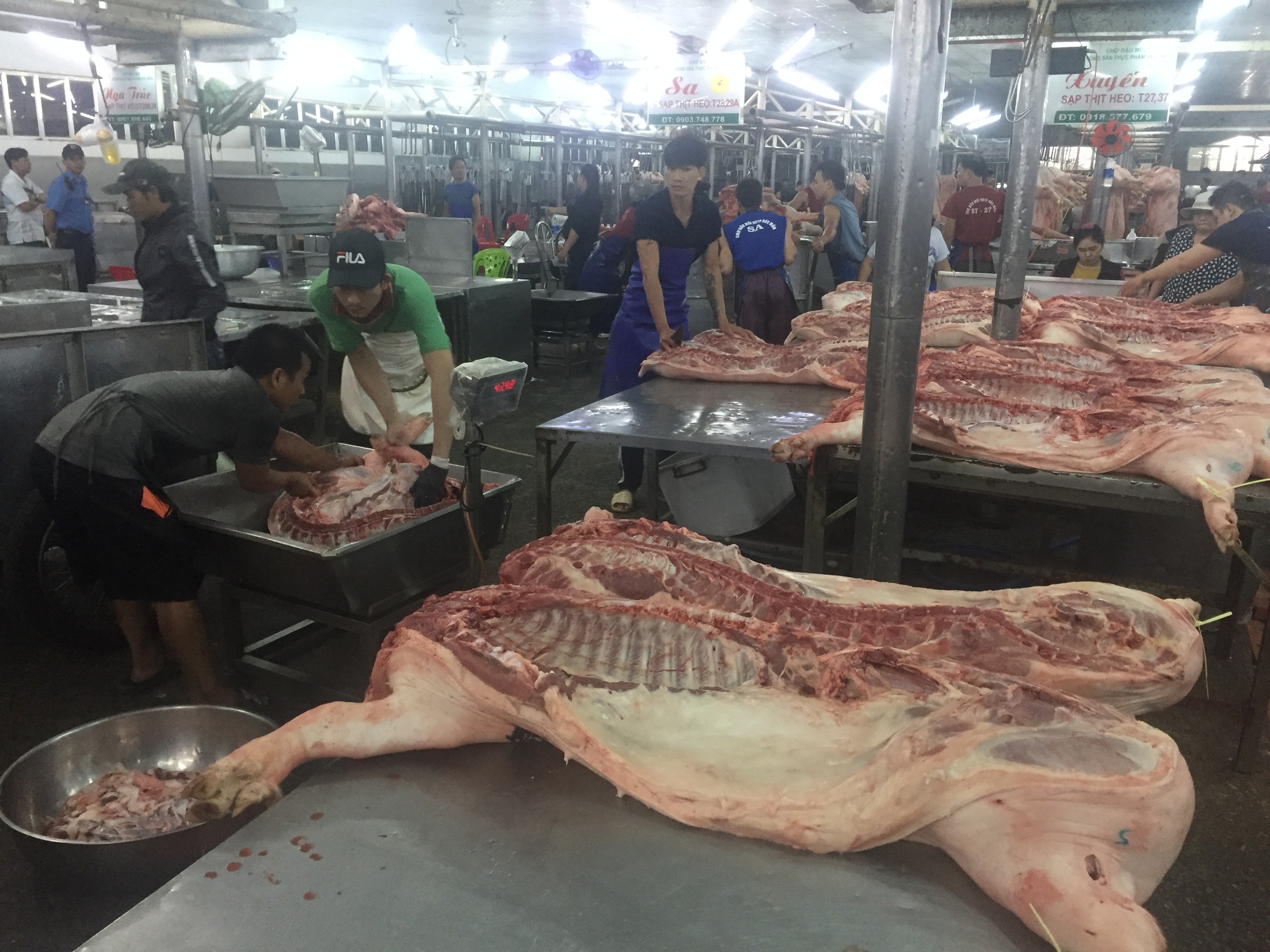Giá heo hơi hôm nay, 8-3: Diễn biến mới tại chợ đầu mối - Ảnh 1.