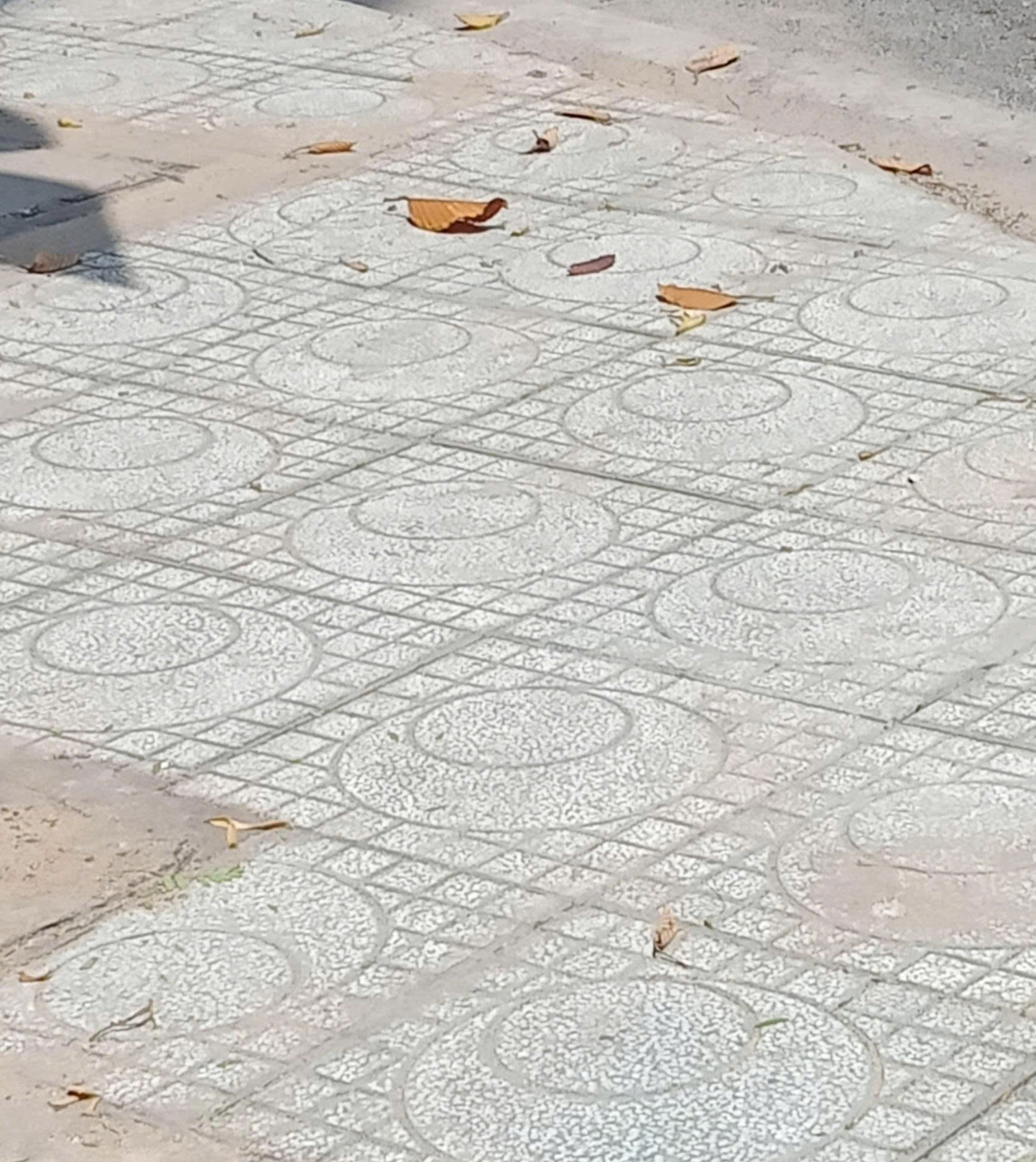 L&oacute;t gạch, tr&aacute;m ch&acirc;n đế - Ảnh 1.