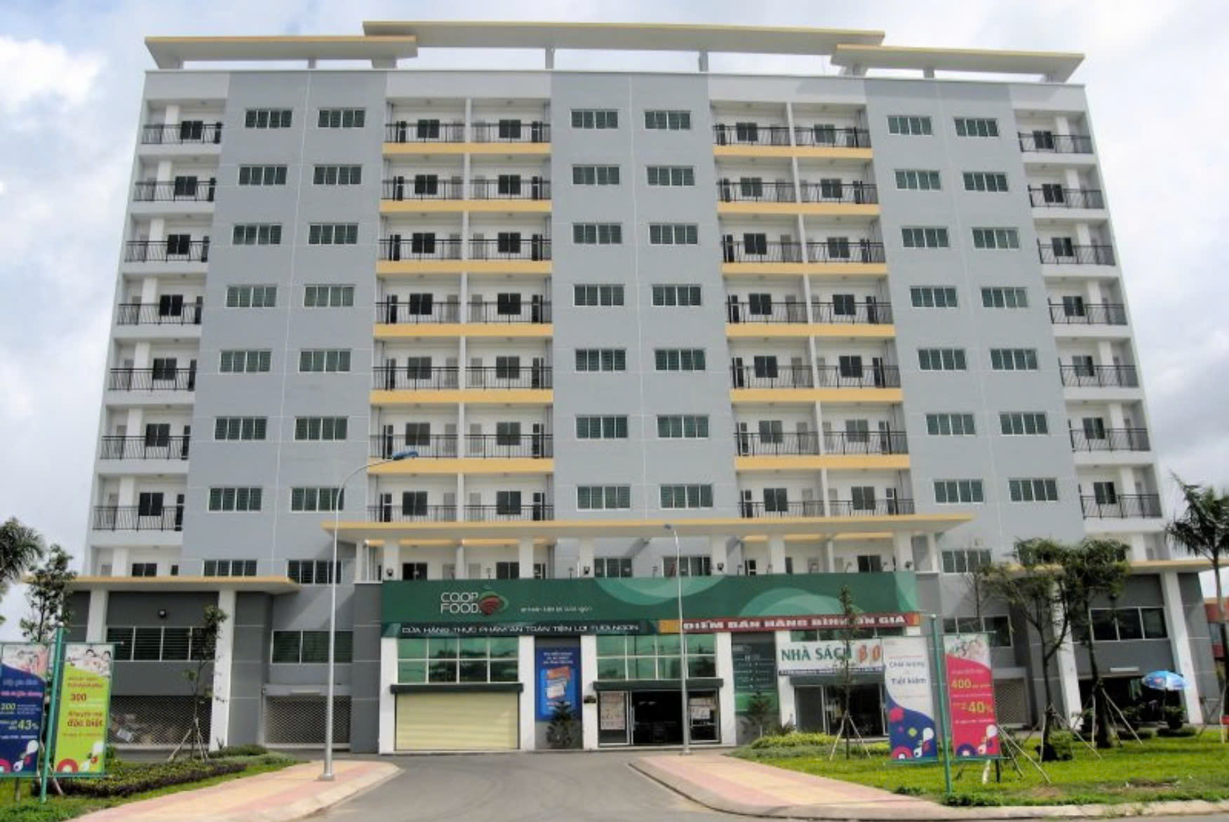 - Ảnh 4.
