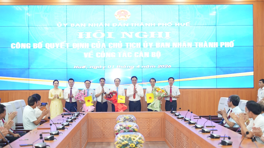Một Phó Chủ tịch UBND TP Huế được điều động giữ chức vụ mới - Ảnh 1.