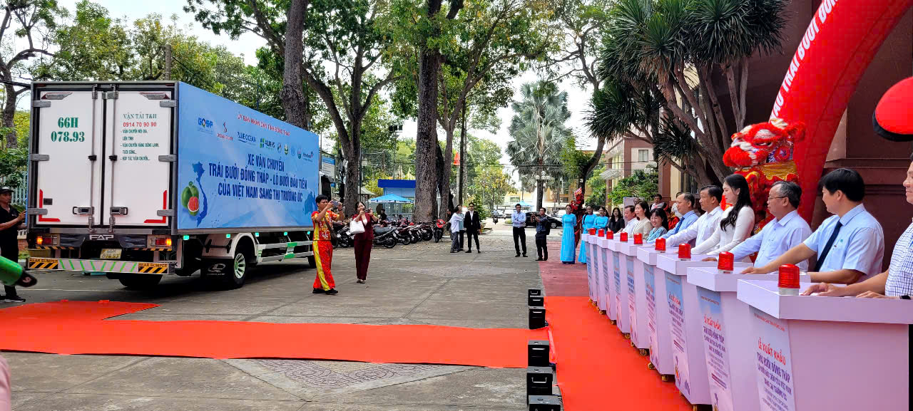 Đồng Tháp xuất khẩu bưởi da xanh sang Úc , nâng cao giá trị kinh tế 2026 - Ảnh 1.