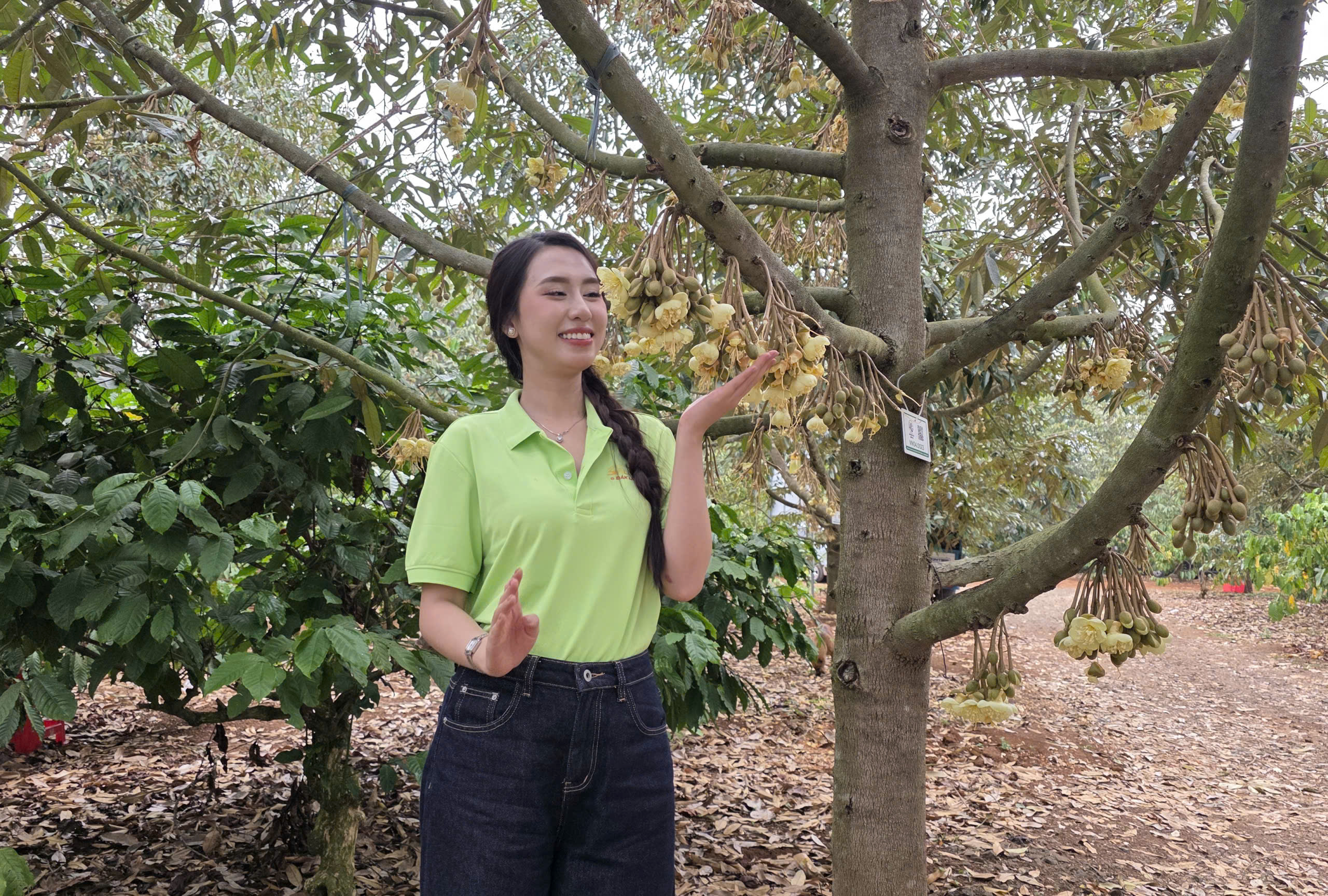 CLIP: Xem hoa hậu, nam vương thụ phấn cho "loài cây tỉ đô" - Ảnh 3.
