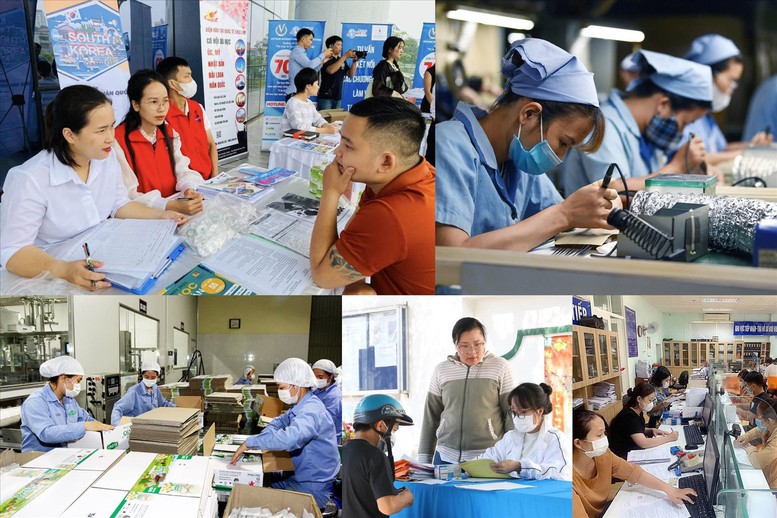 Hơn 20% việc làm ở Việt Nam có nguy cơ bị GenAI ảnh hưởng - Ảnh 1.
