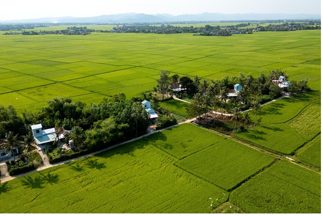 ADB hỗ trợ xây nhà an toàn cho người dân vùng lũ Đắk Lắk - Ảnh 2.