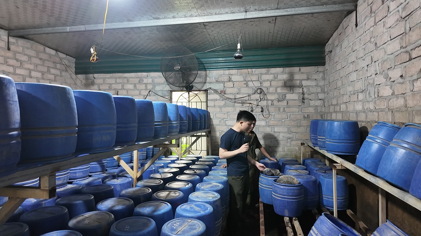Đột kích hàng loạt xưởng sản xuất giá đỗ sử dụng chất cấm tại Quảng Ninh - Ảnh 3.