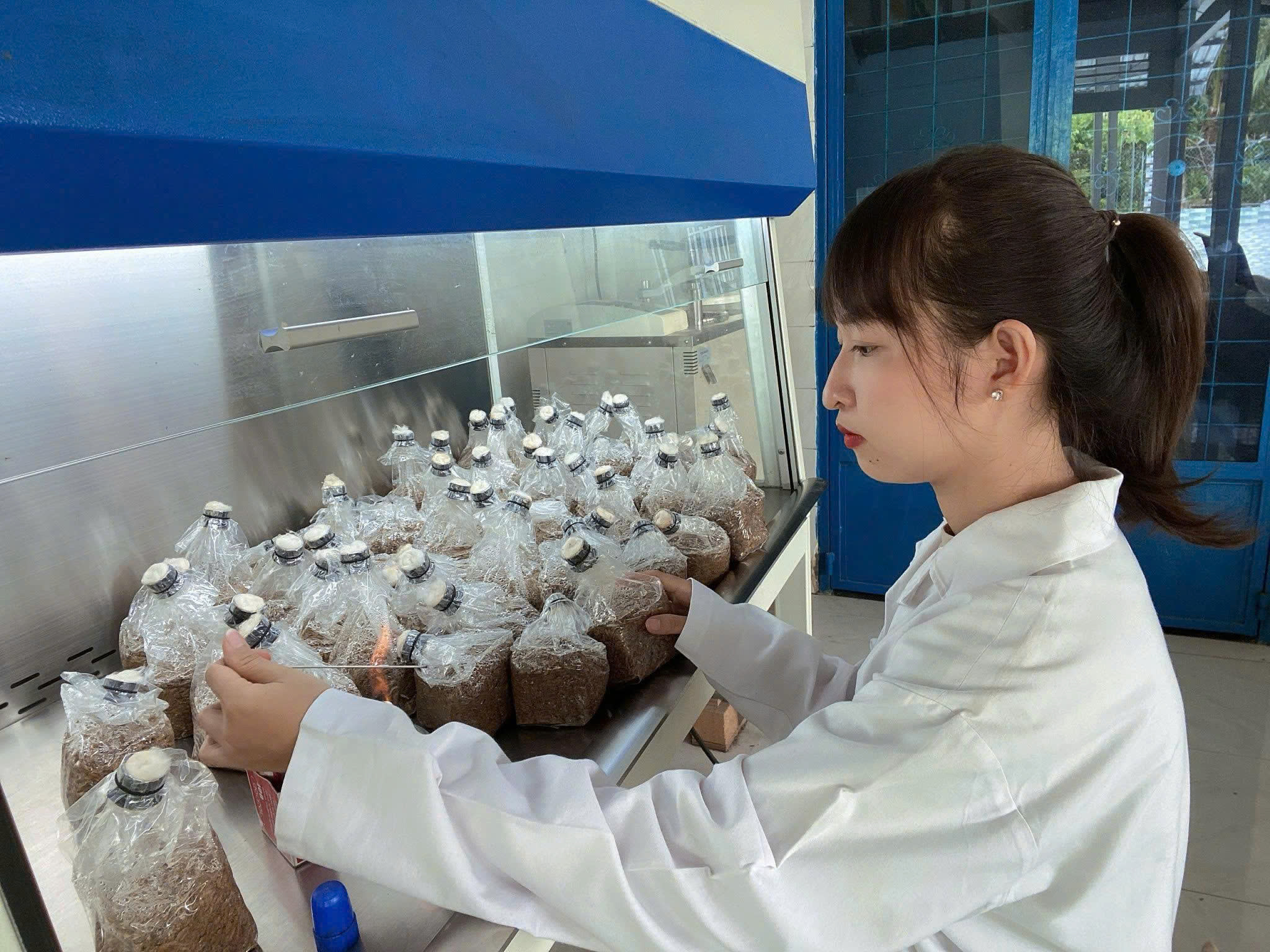 Lan tỏa tinh thần khởi nghiệp - Ảnh 1.