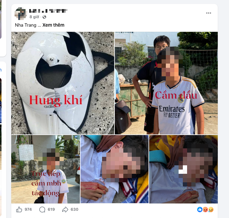 - Ảnh 1.
