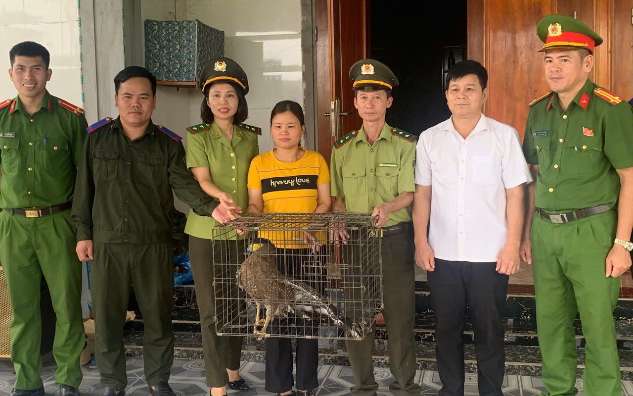 Hà Tĩnh: Người dân giao nộp hai cá thể động vật nguy cấp, quý hiếm
