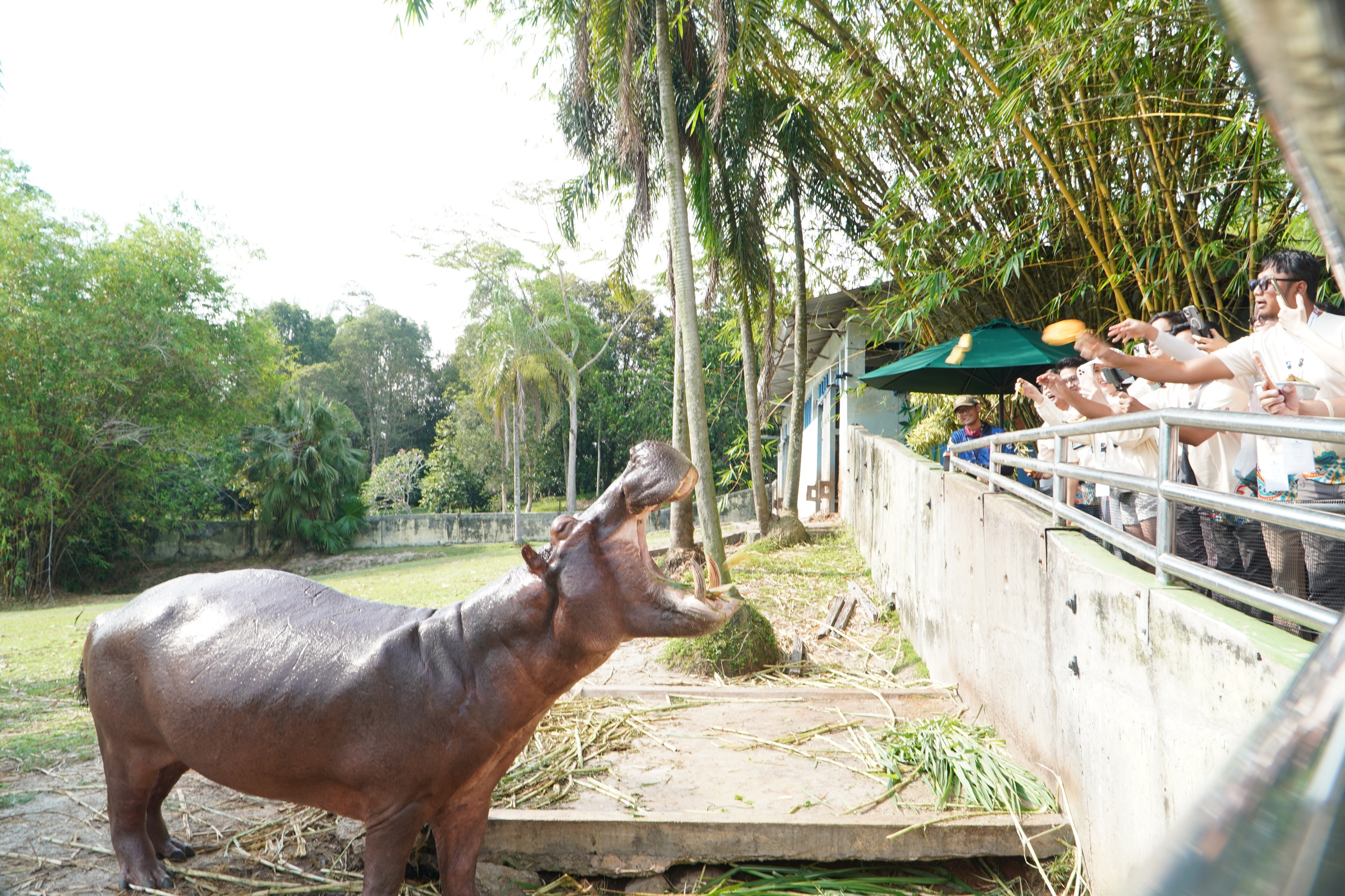 - Ảnh 3.