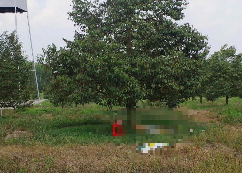 Người đ&agrave;n &ocirc;ng tử vong b&ecirc;n khẩu s&uacute;ng hơi nghi do tr&uacute;ng đạn ở Đồng Nai - Ảnh 1.