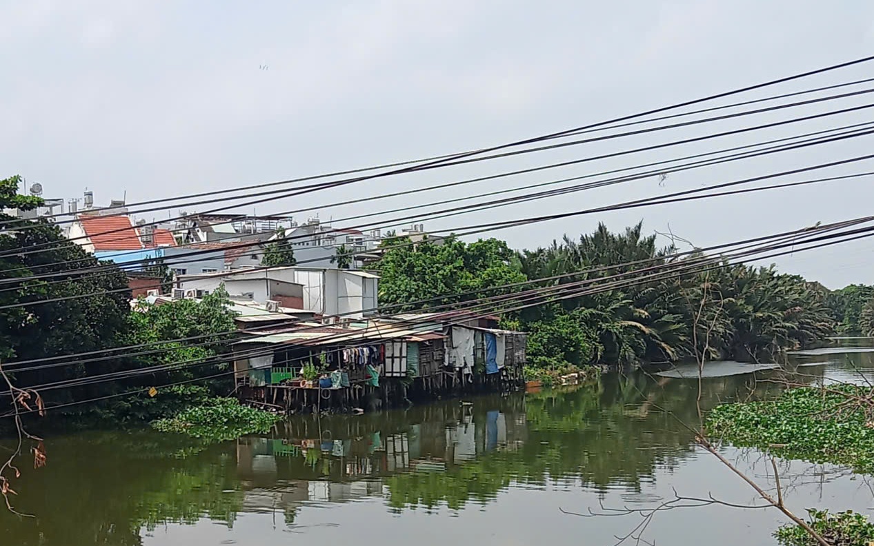 Phản hồi: Gỡ nhánh cây vướng vào dây điện