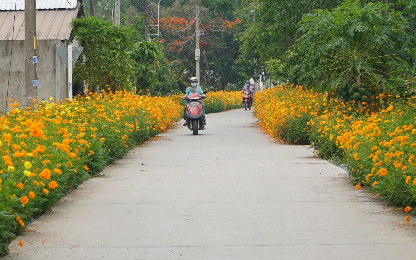 TPHCM: Xã đủ điều kiện khẩn trương hoàn thiện thủ tục lên phường