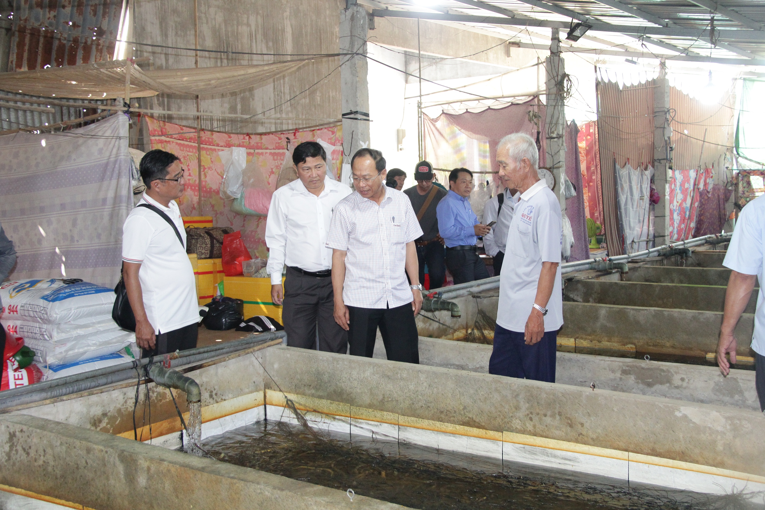 Gi&aacute; lươn giảm s&acirc;u tại Cần Thơ: 4 . 000 Tấn chưa ti&ecirc;u thụ g&acirc;y kh&oacute; khăn cho N&ocirc;ng d&acirc;n - Ảnh 1.