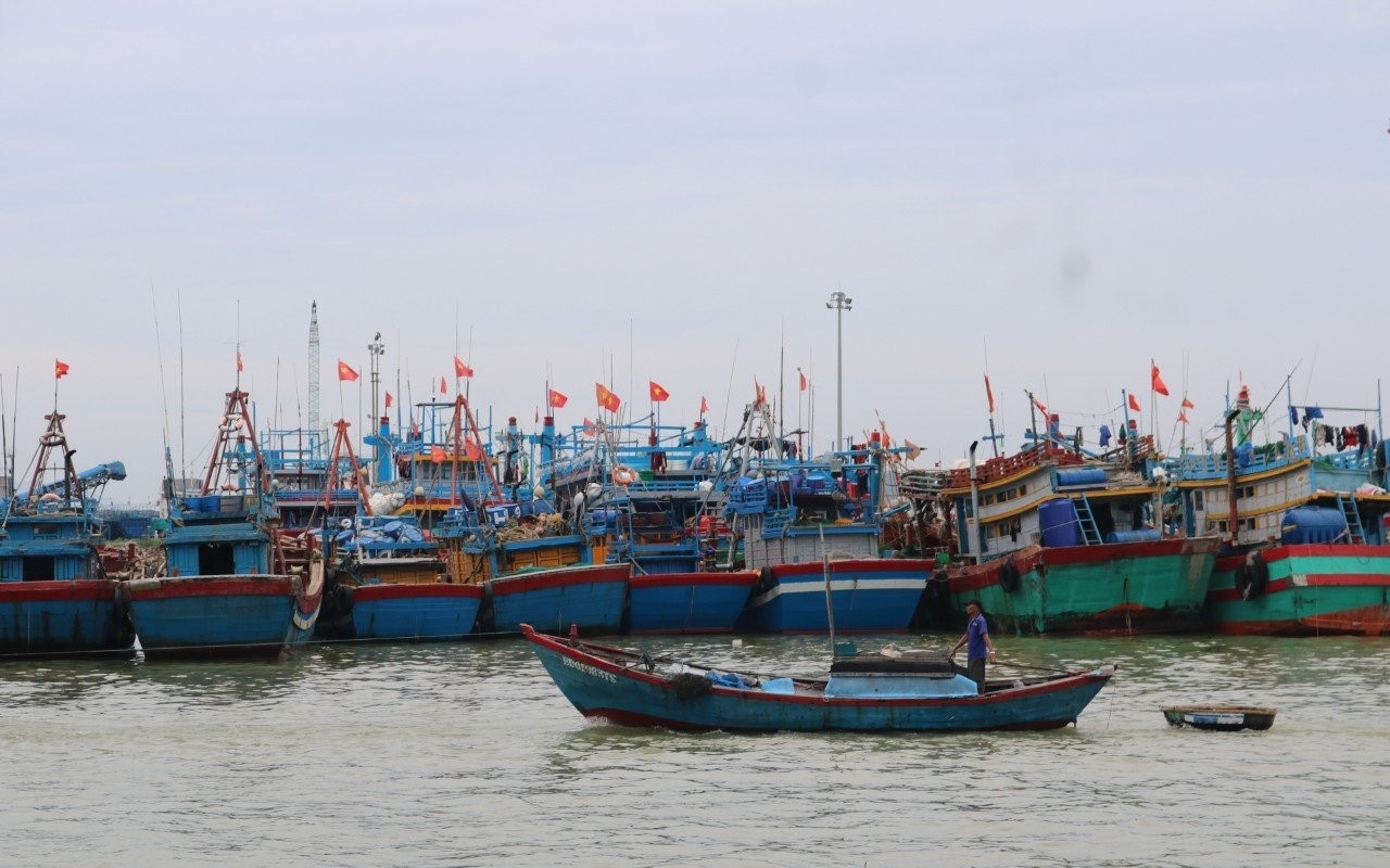 Gia Lai thuê giám sát hành trình để kiểm soát 186 tàu cá rủi ro cao