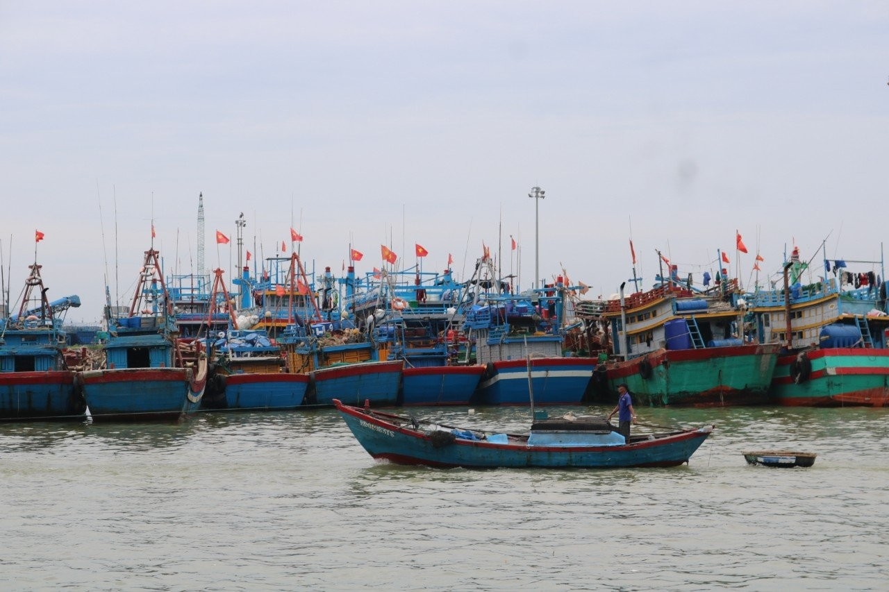Gia Lai thuê giám sát hành trình để kiểm soát 186 tàu cá rủi ro cao - Ảnh 1.