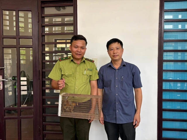 Cu li qúy hiếm bất ngờ xuất hiện Tại trạm y tế Quảng Trị năm 2026 - Ảnh 1.