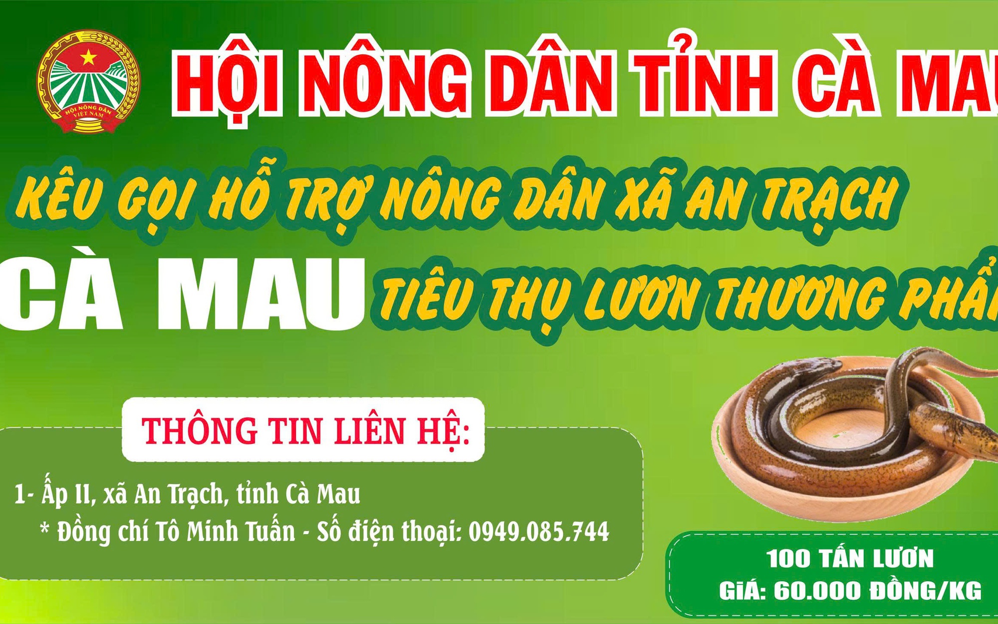 Cà Mau kêu gọi "giải cứu" lươn với giá 60.000 đồng/kg