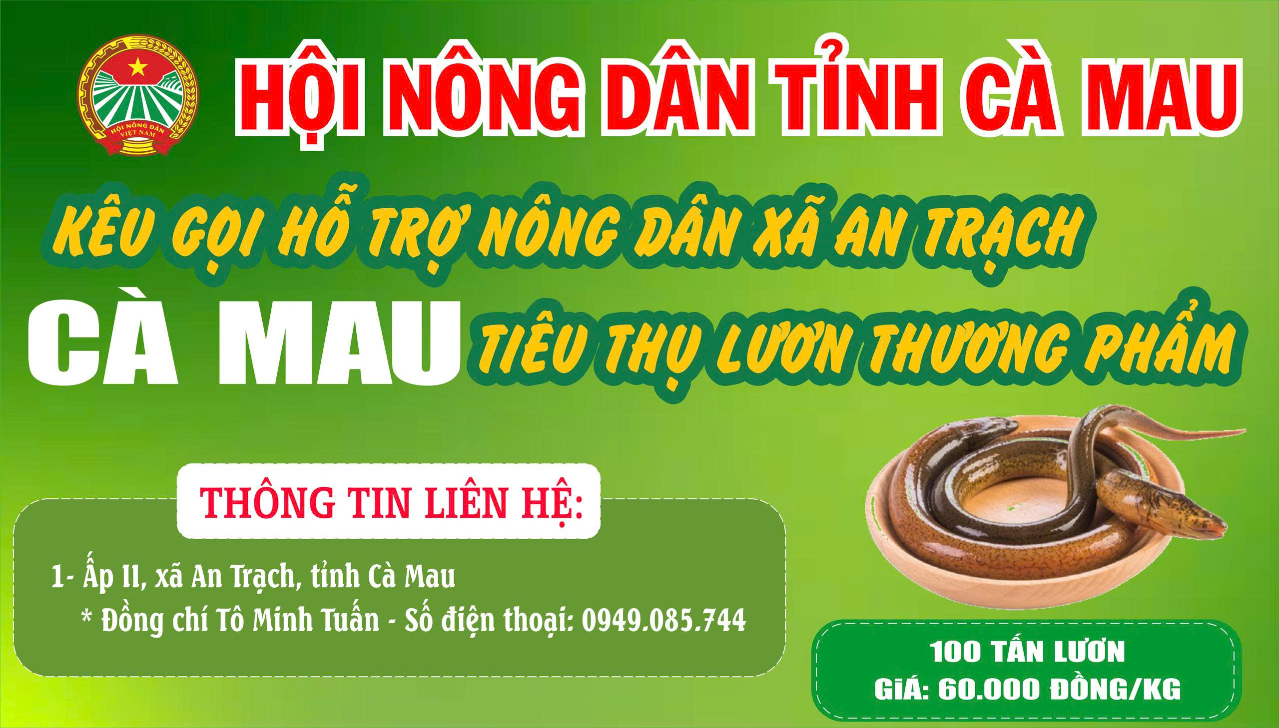 - Ảnh 1.