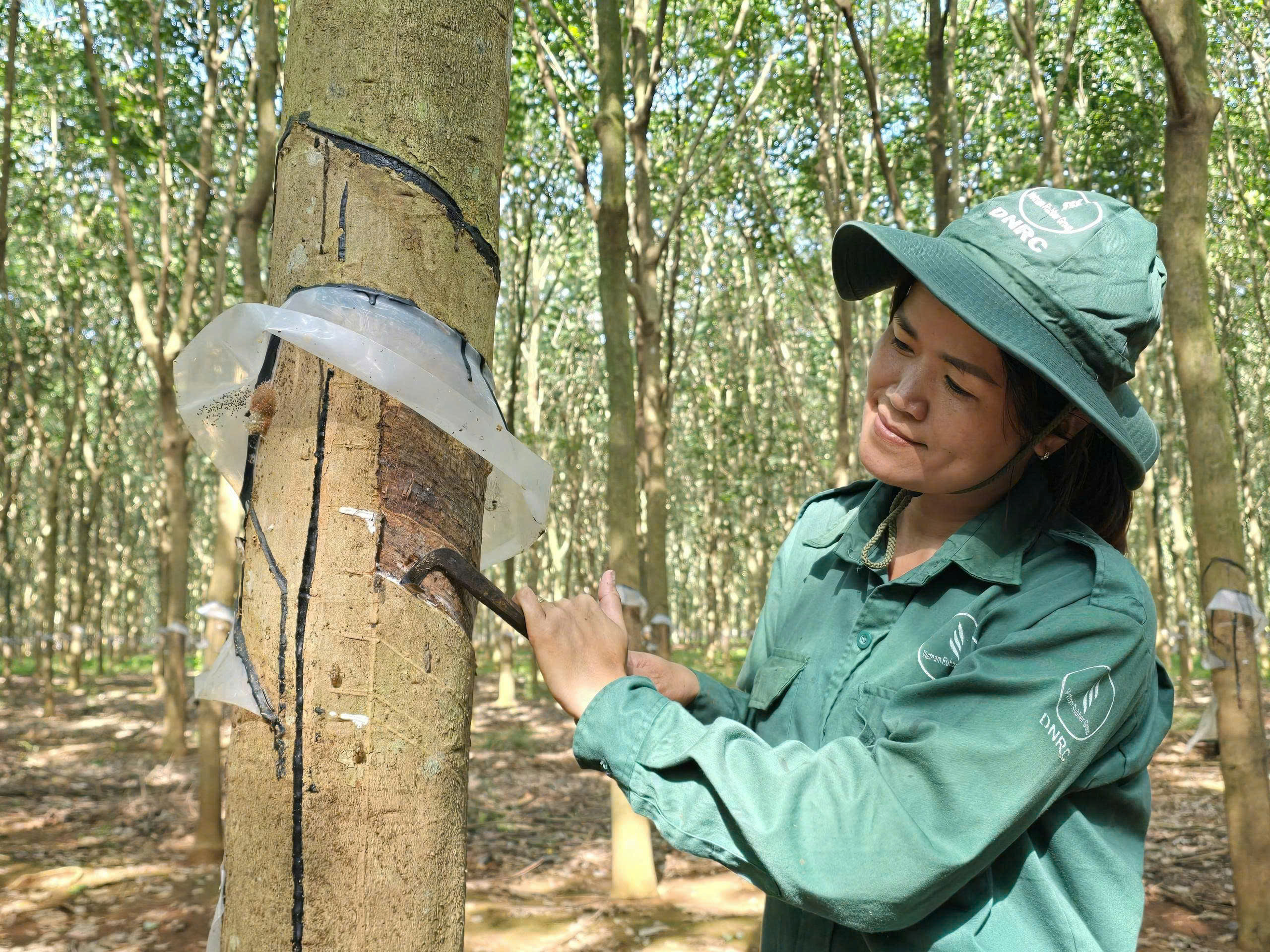 Tích cực chăm lo, xây dựng văn hóa an toàn lao động - Ảnh 2.