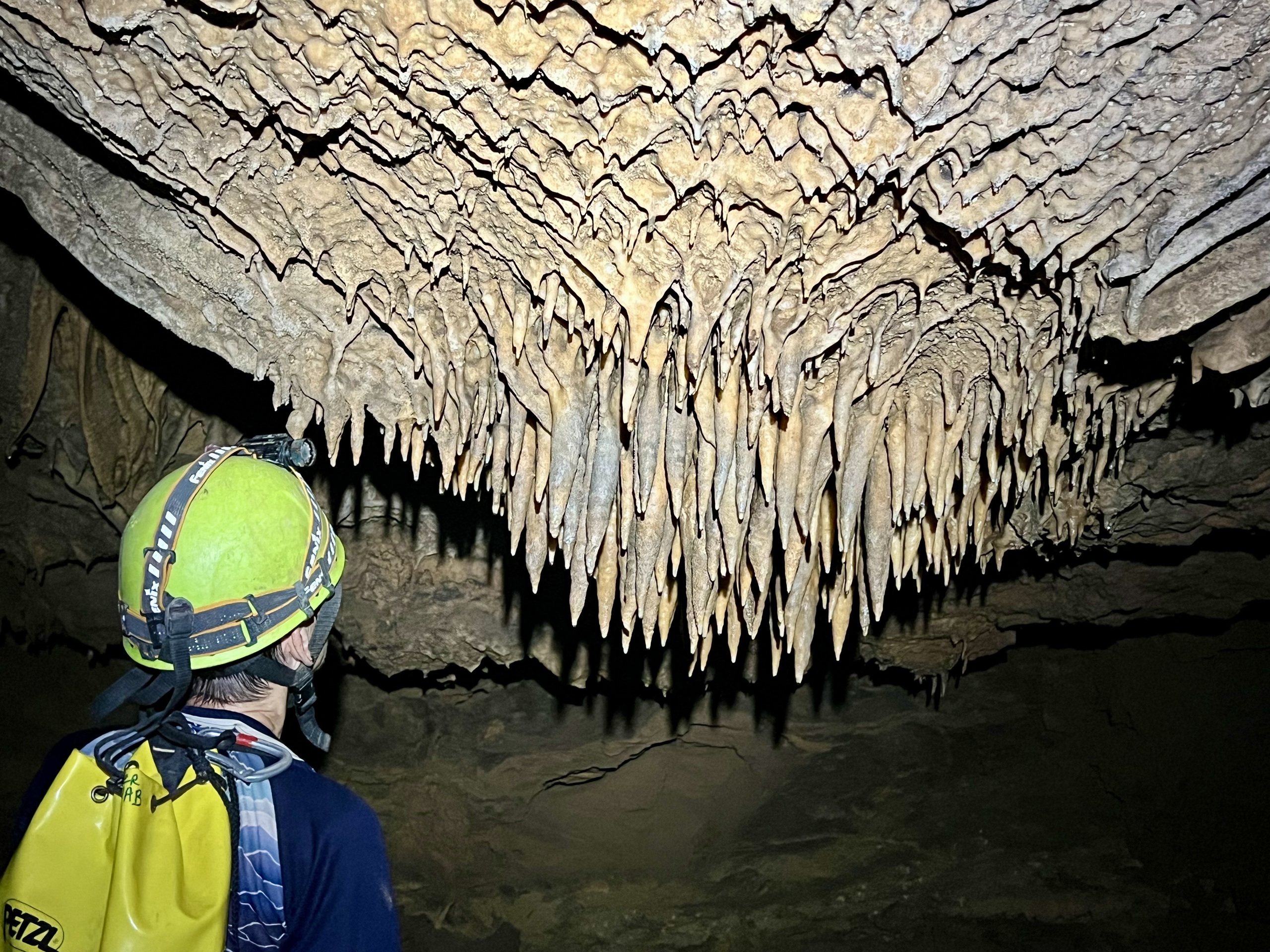 Lộ diện th&ecirc;m 26 hang động mới dưới l&ograve;ng đất ở Phong Nha - Kẻ B&agrave;ng - Ảnh 15.