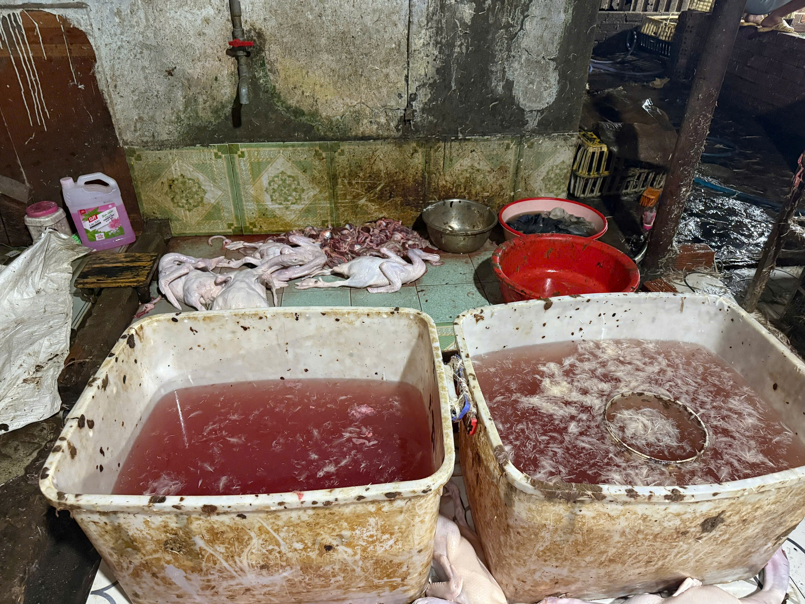 - Ảnh 3.