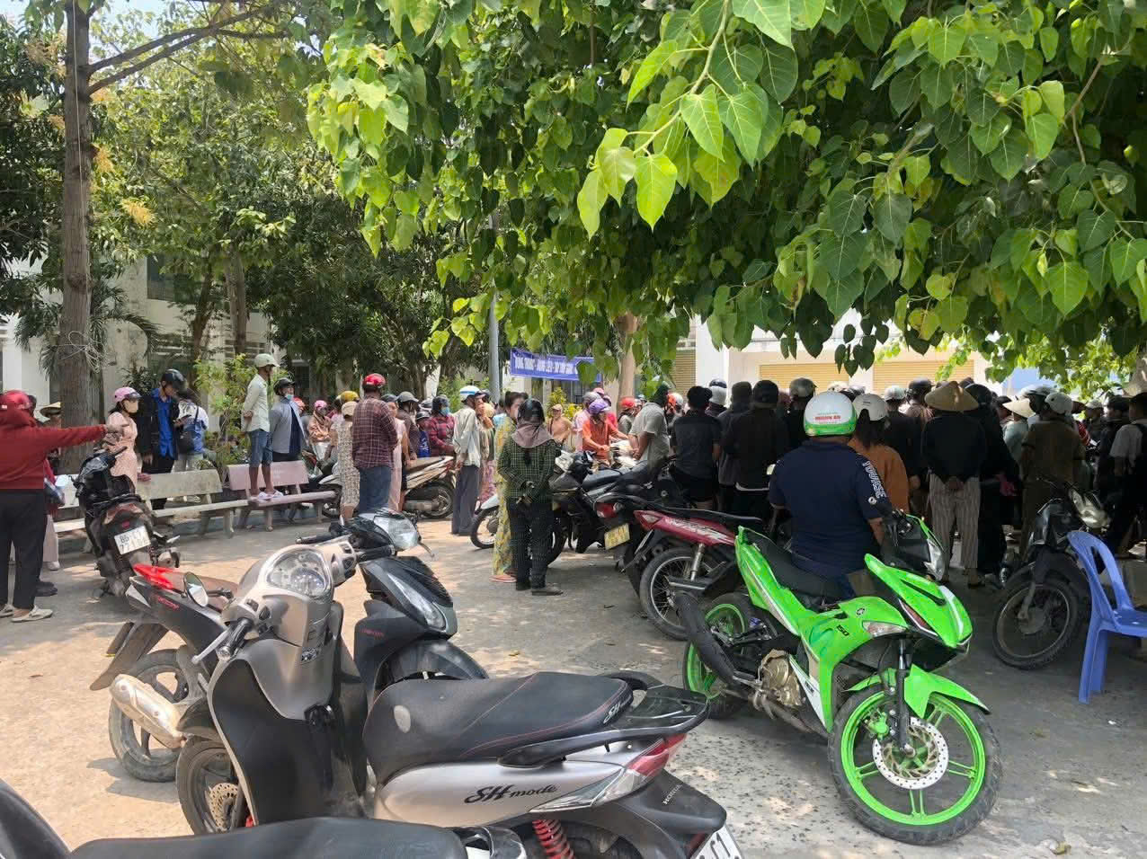 Khẩn trương ổn định trường học sau án mạng đau lòng ở Mũi Né - Ảnh 1.