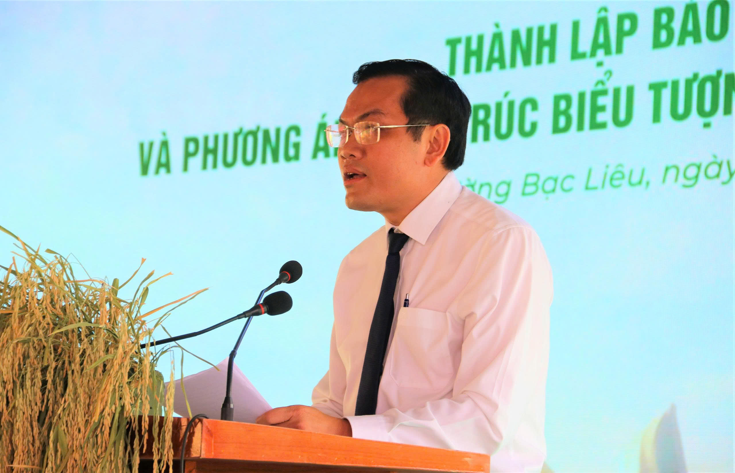 Th&agrave;nh lập Bảo t&agrave;ng l&uacute;a nước tại C&agrave; Mau: T&ocirc;n vinh gi&aacute; trị văn h&oacute;a l&uacute;a nước - Ảnh 3.