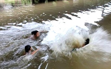Ra suối tắm, hai cháu bé bị đuối nước thương tâm