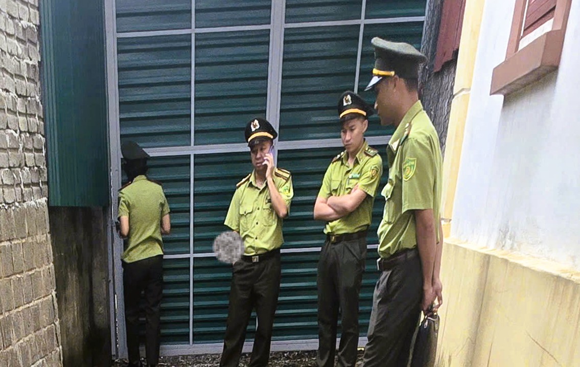 Kiểm lâm "đột kích" nhà dân, thu giữ 122 cây muội hồng - Ảnh 1.