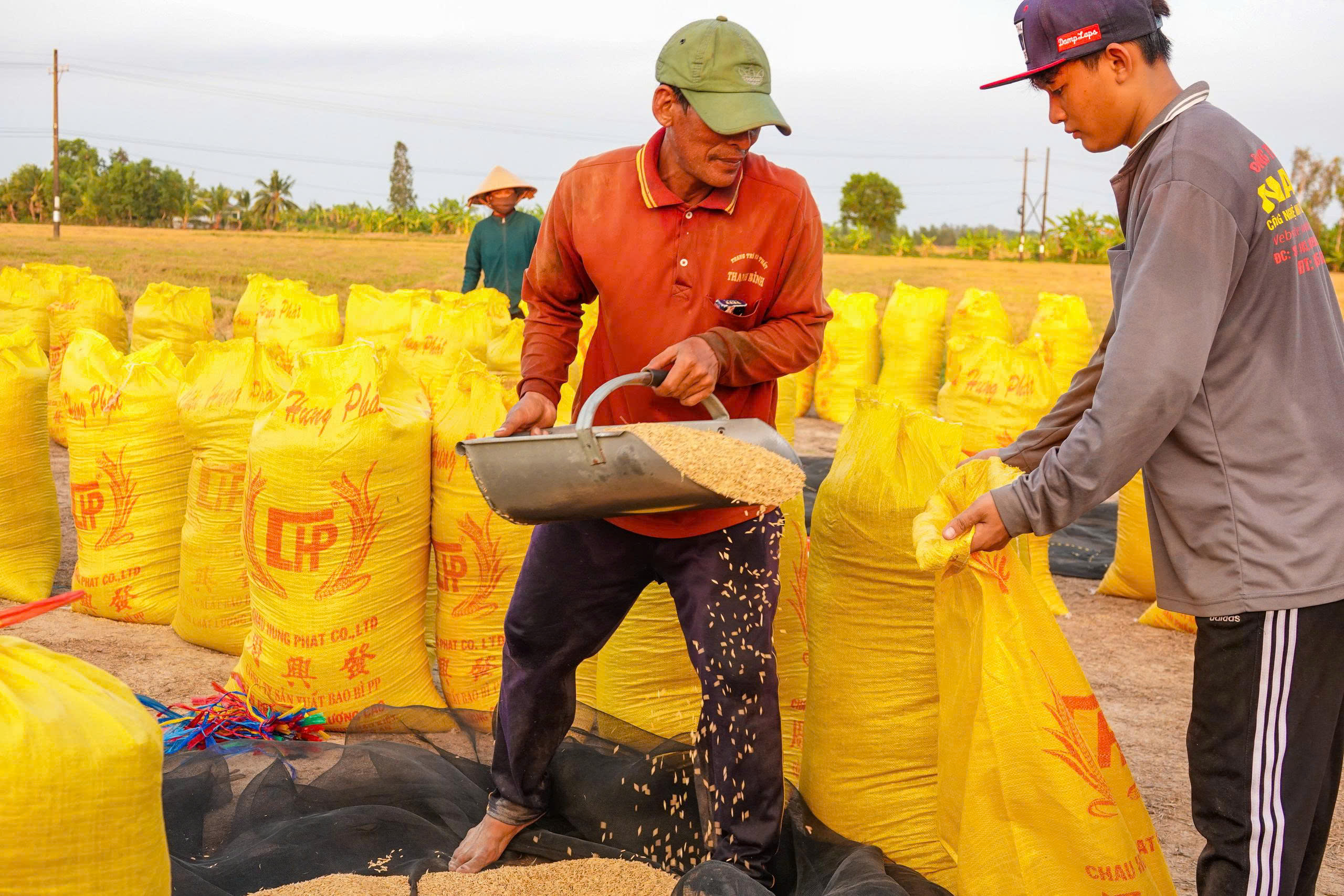 Cảnh b&aacute;o thời tiết nguy hiểm tại Cần Thơ Trong lễ 30 - 4 v&agrave; 1 - 5 năm 2026 - Ảnh 1.