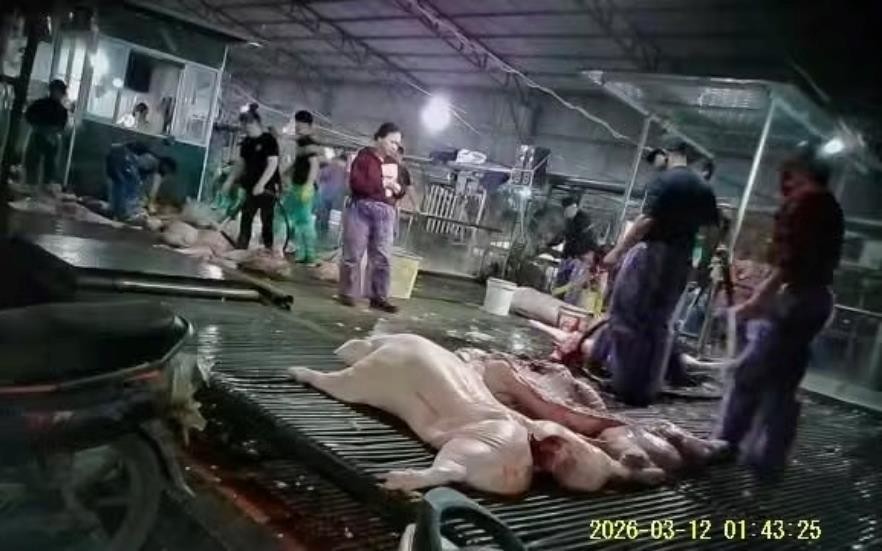 Bịt lỗ hổng quản lý thực phẩm