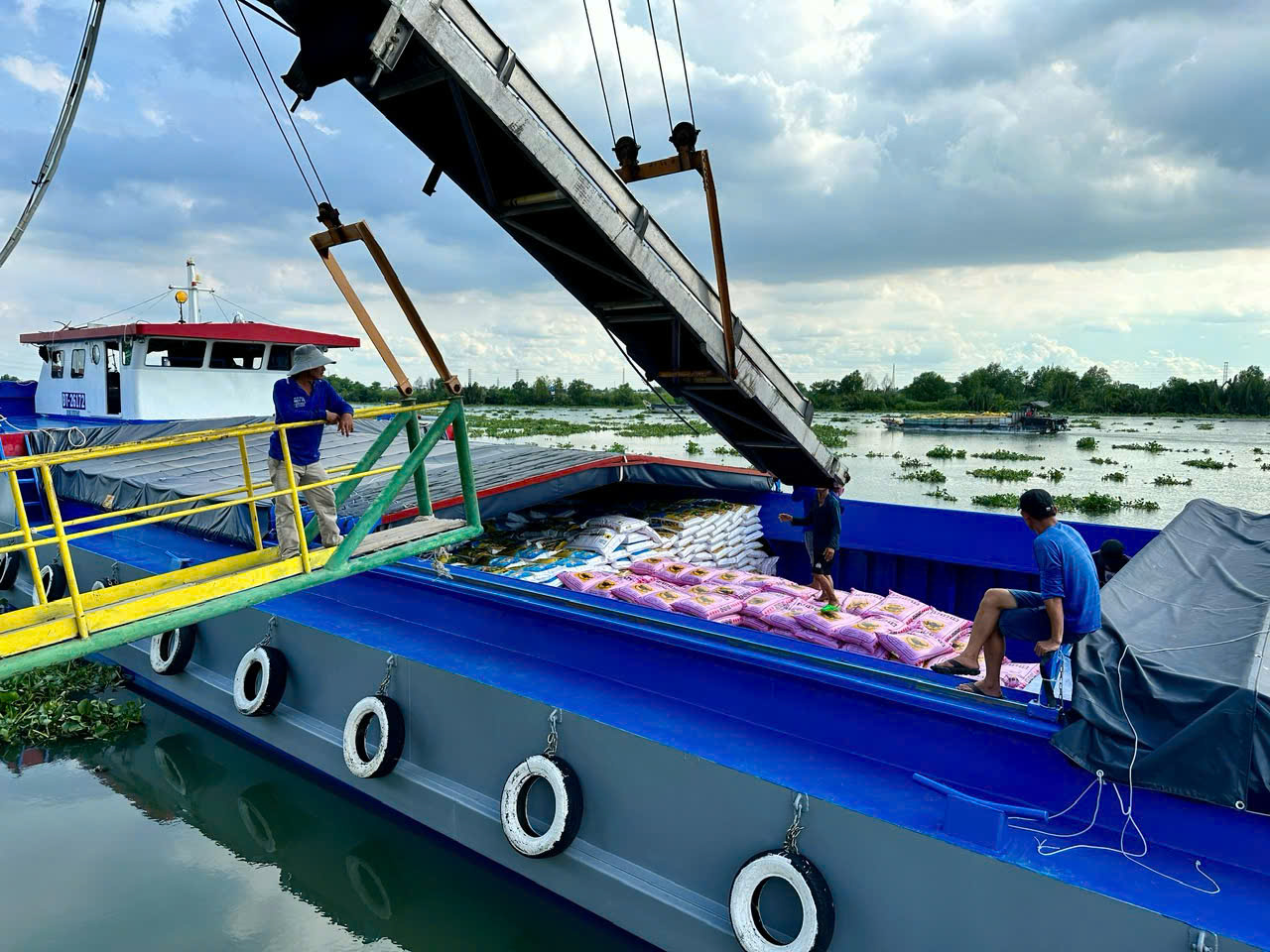 Phân bón Bình Điền: Bứt tốc giữa biến động, nâng cao phúc lợi người lao động - Ảnh 7.