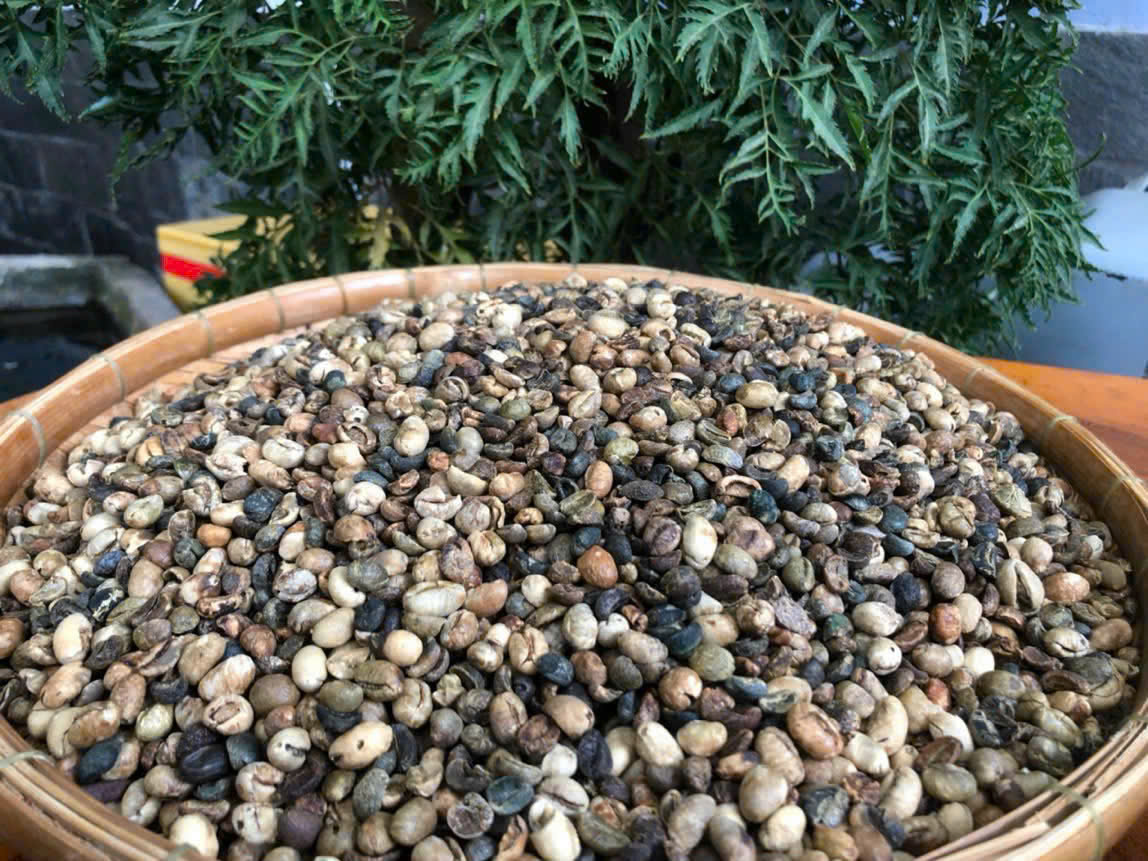 Tối nay, trao giải cuộc thi